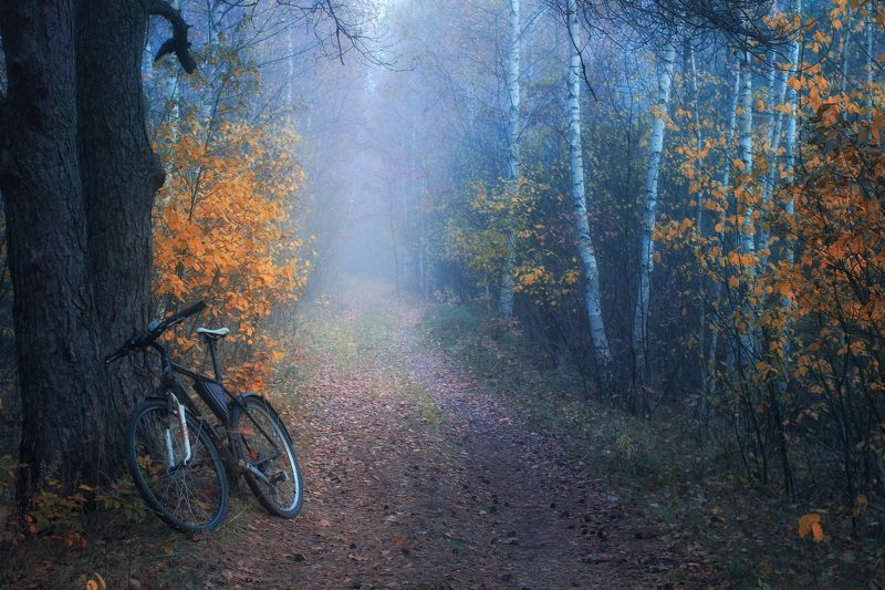 ********photo preview