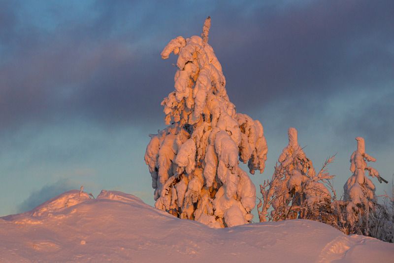 На Печорском водохранилище фото превью