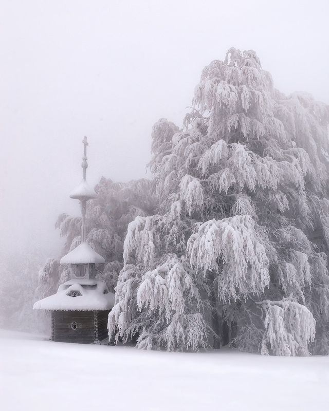 winter, snow, cold, snowing, ice, wintertime, forest, woods, trees, tree, hiking, wood, outdoors, cz, czechrepublic, europe, valassko, beskydy, sigma, nikon, art, white, landscape, blue, clouds, nature, christmas, beauty, scenery, bluehour, outside, xmas, В объятьях лесаphoto preview