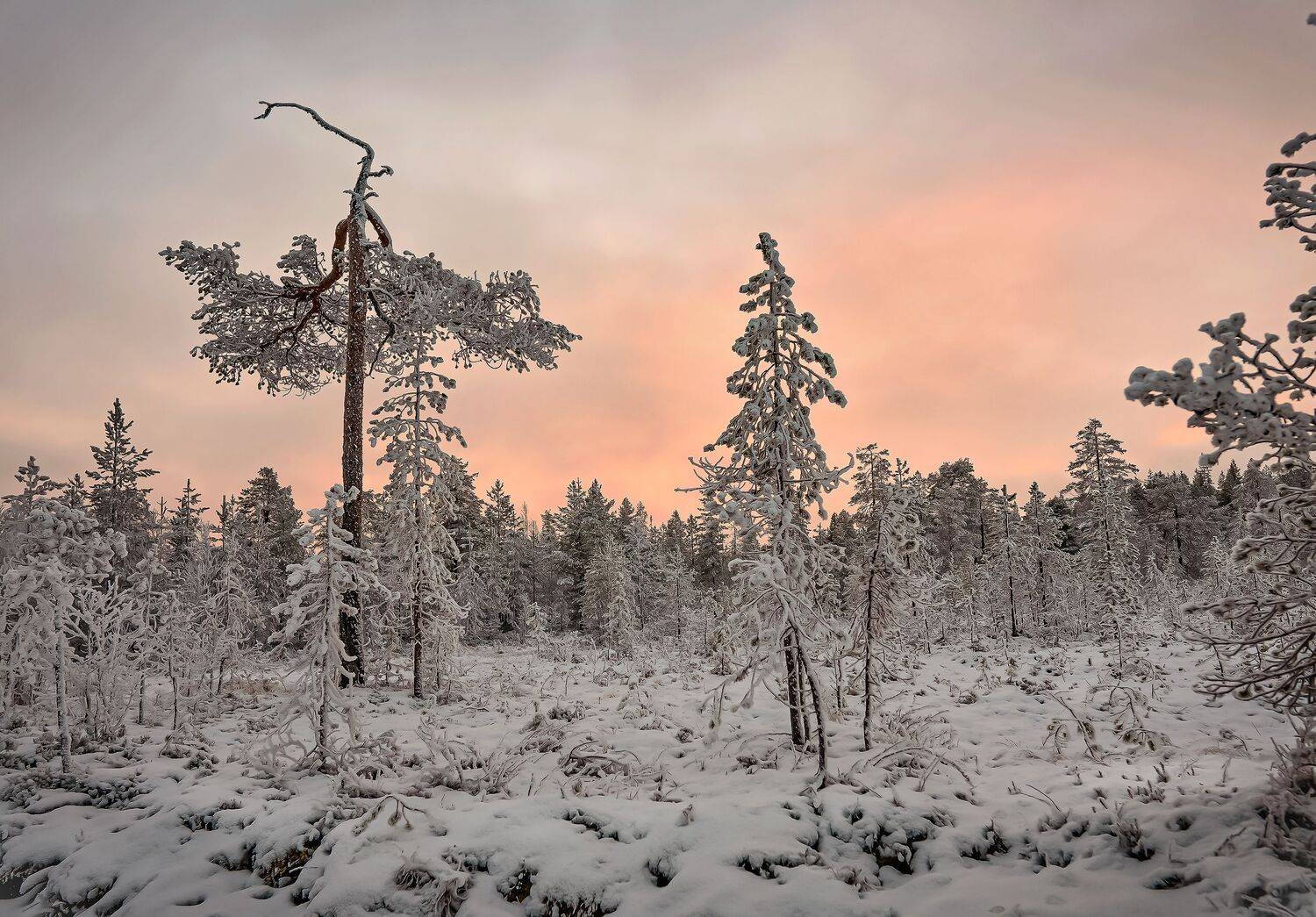 кольский п-в. хибины. ноябрь, Бирюков Вячеслав