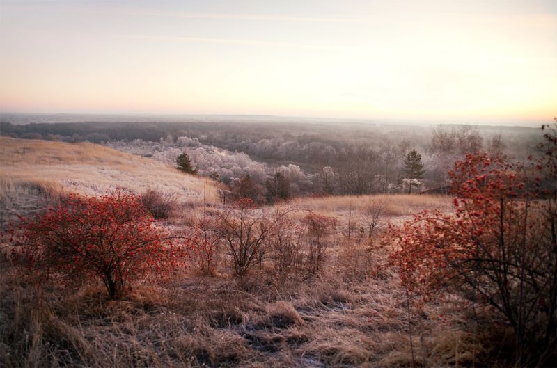изморозь, рассвет По тропам детстваphoto preview