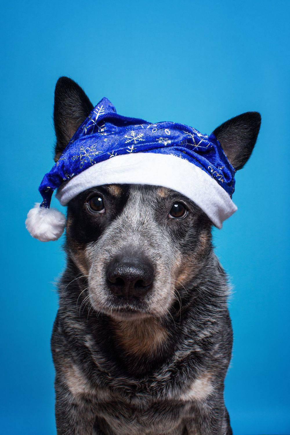 , Юлия Гончар