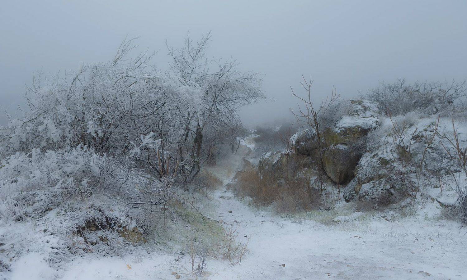 Зимнее настроение. Автор: Анатолий Макоедов , Анатолий Макоедов