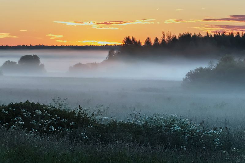 дунилово ***photo preview
