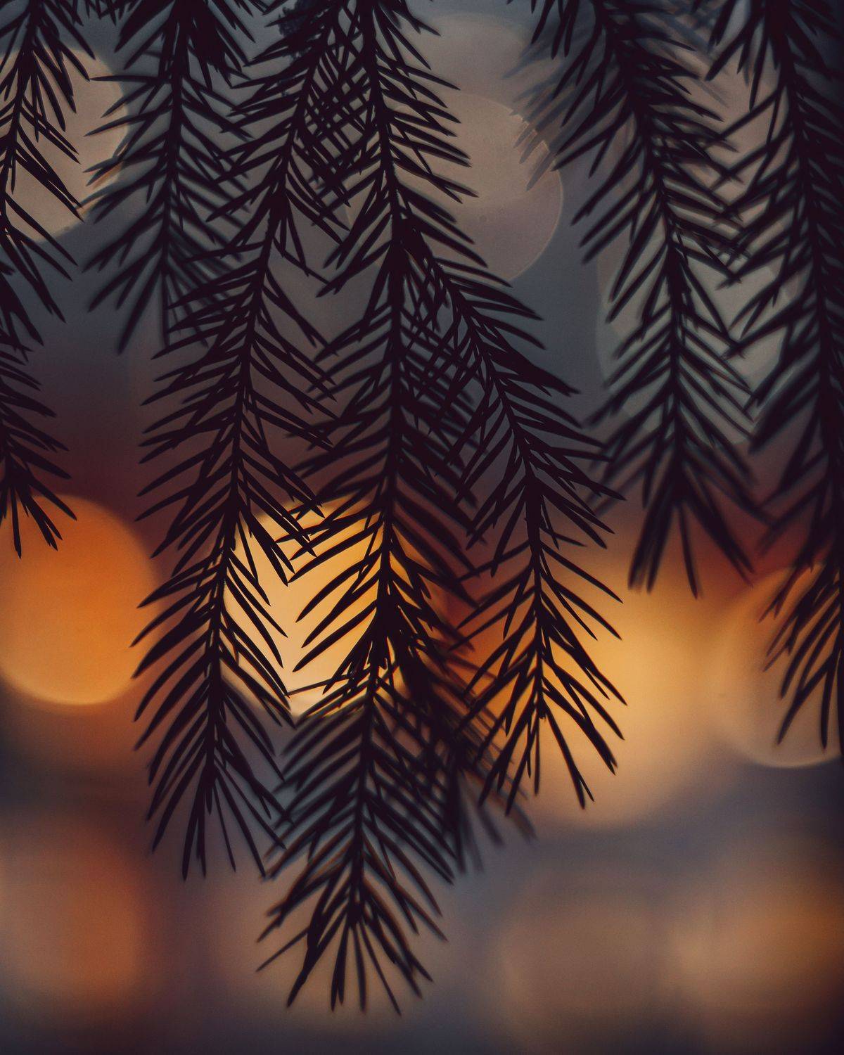 Автор: Вайсберг Александр , Вайсберг Александр