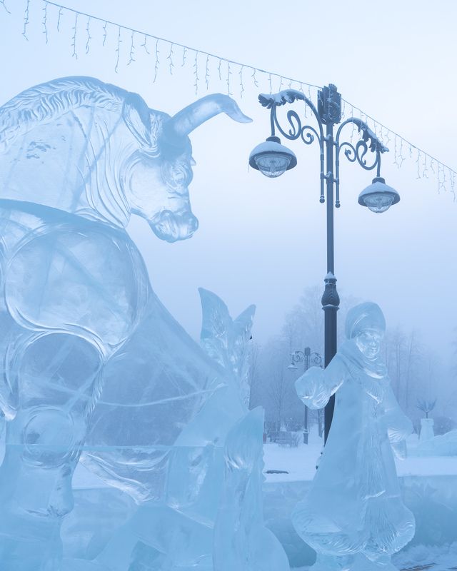 -42°…photo preview