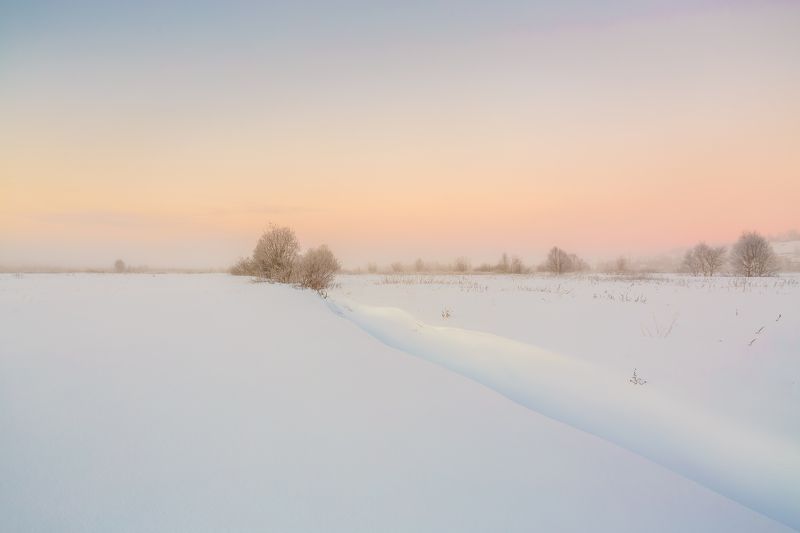 Безмолвиеphoto preview