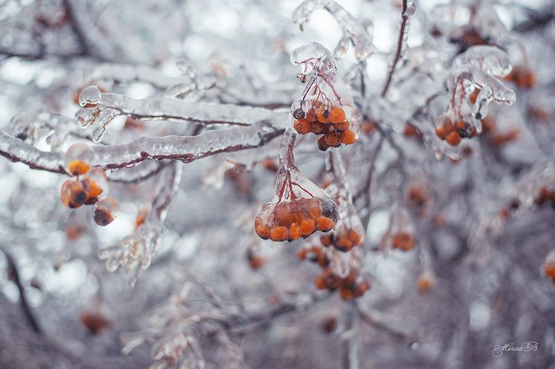 Леденцы от Деда Морозаphoto preview