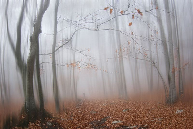 Крым, осень Осенняя акварельphoto preview