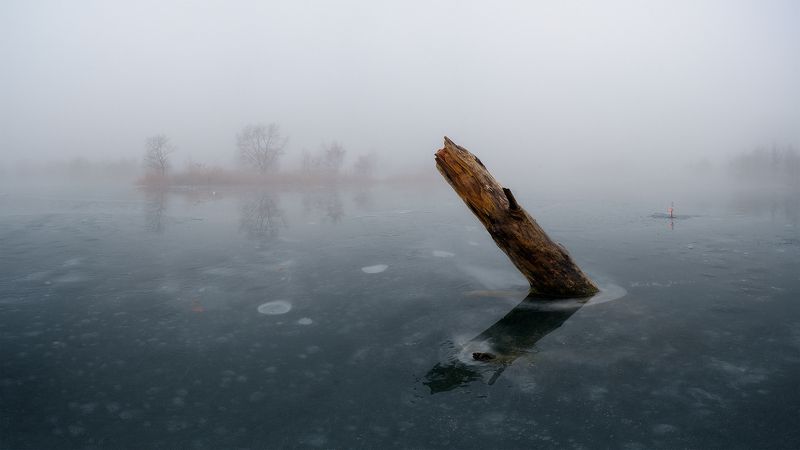 В туманеphoto preview