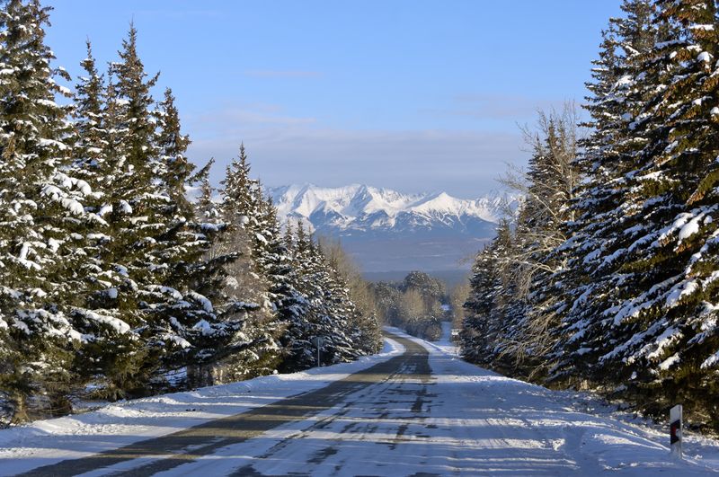 Дорога в горыphoto preview