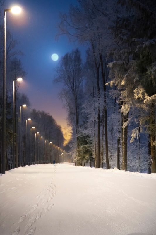 Дорога домойphoto preview