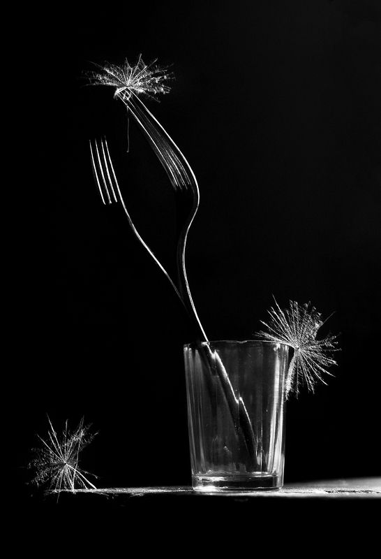 натюрморт, чёрно-белое, вилки Из жизни вилокphoto preview