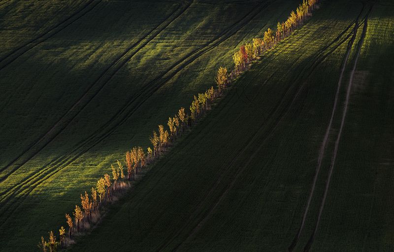 Line of light and shadowphoto preview