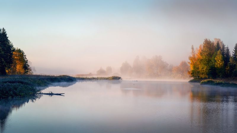 ***в утреннем туманеphoto preview