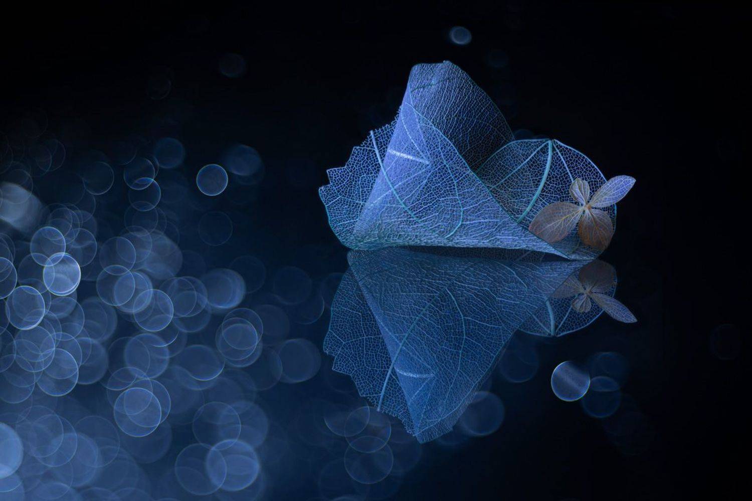 In the valley of illusions. Автор: Игорь Копцев , Игорь Копцев