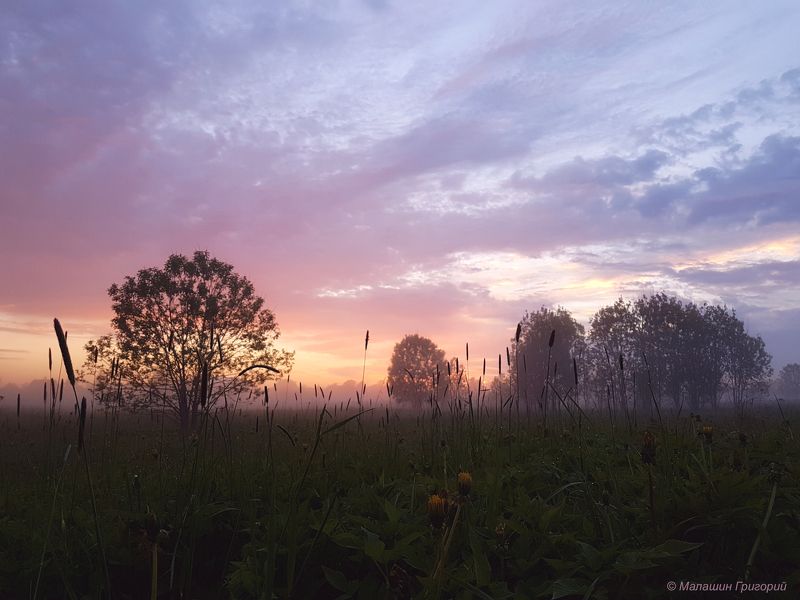 розовый туман, розовый вечер, туман, туманы, закат, рассвет, красный, красивый, синий, волшебный, волшебно, поле, ленобласть, ло, арбонье Розовый вечерphoto preview