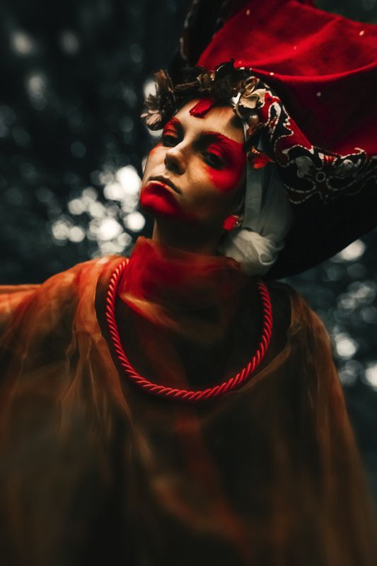 red forestphoto preview