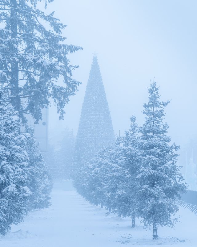 -42°…photo preview