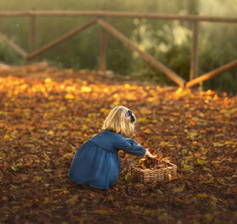 Autumn moodphoto preview