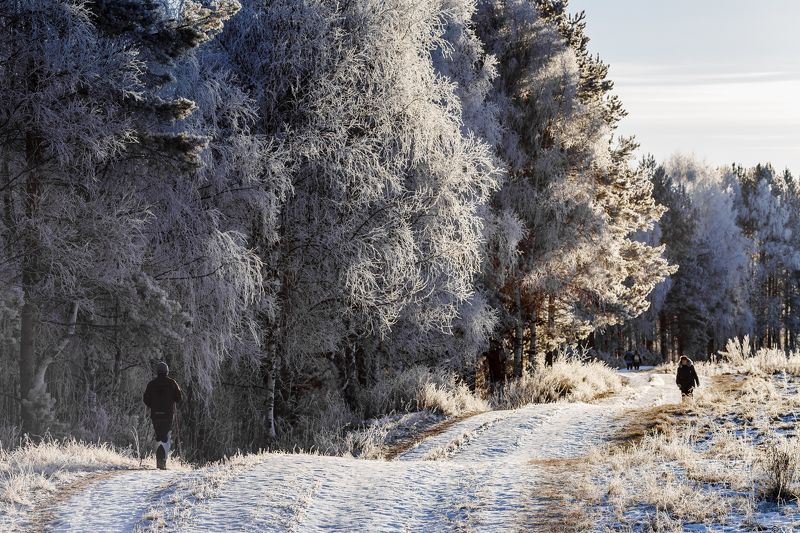 Дорога на родникphoto preview