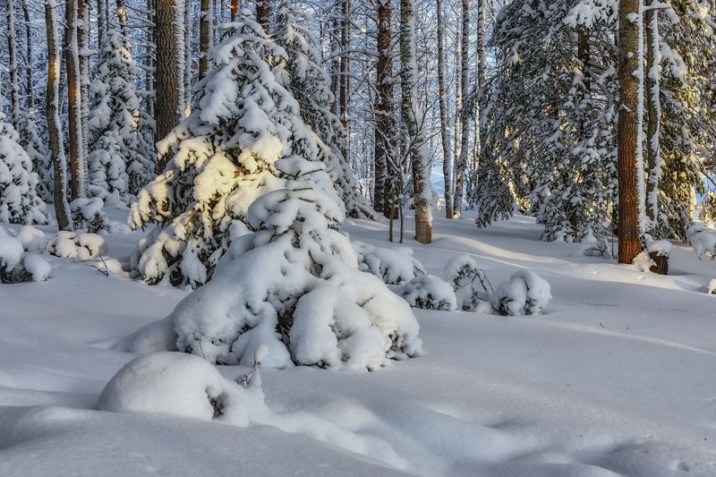 В пышной шубеphoto preview