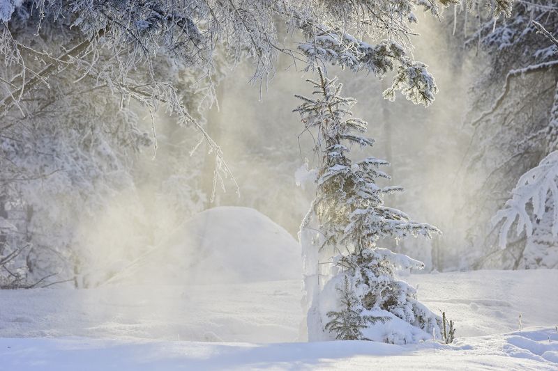 Рождество!photo preview