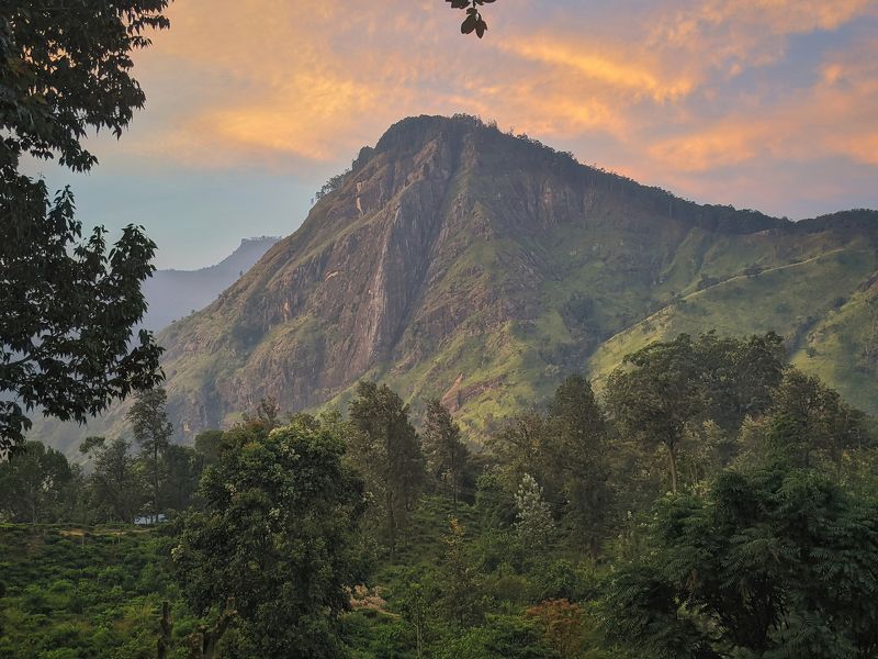 мобильная фотография, mobile photography, природа, пейзаж, sri lanka, nature, landscape ***photo preview