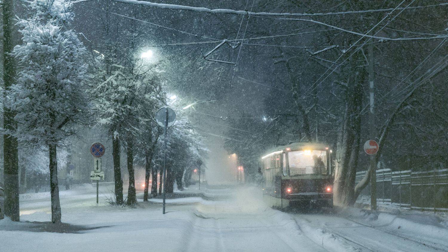 , Павел Трефилов