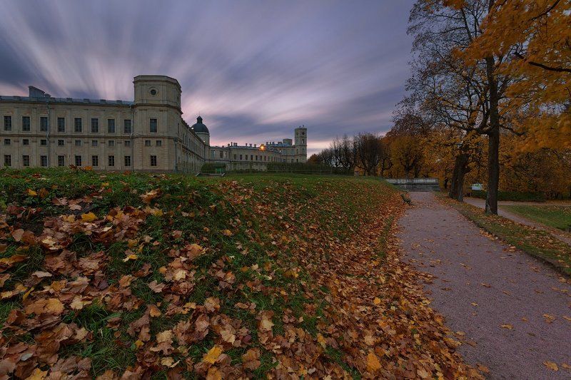 гатчина, дворец, осень, парк Гатчинский дворец фото превью