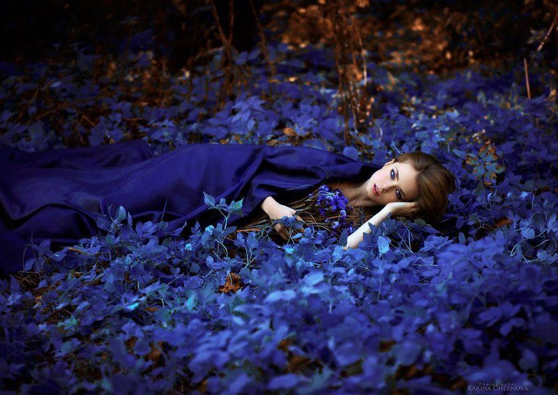 girl, blue, flowers,portrait,nikon,model,50mm,beauty,female,девушка,синиецветы,портрет Azurephoto preview