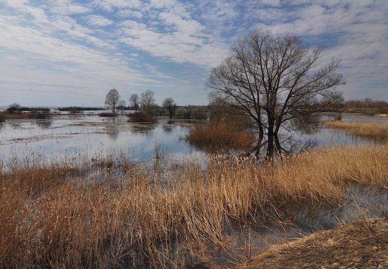 Неро, разливphoto preview