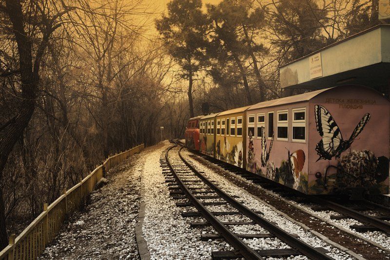 Путешествия в туманеphoto preview