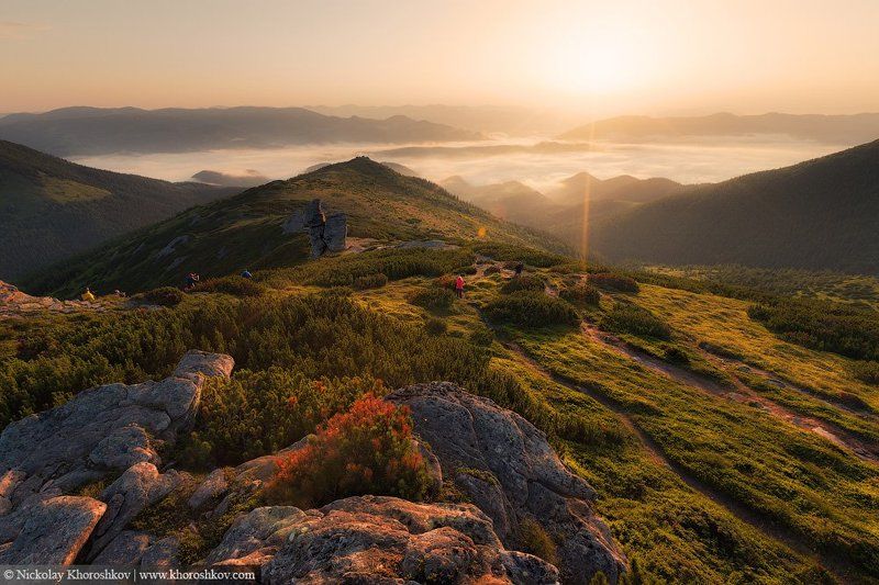 Горы, Карпаты, Пейзаж, Украина Летний рассвет в Карпатахphoto preview