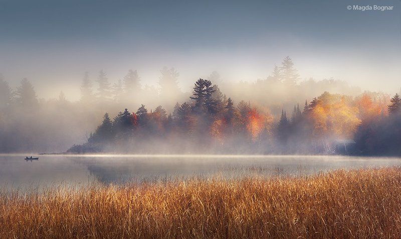 The Morning Showphoto preview