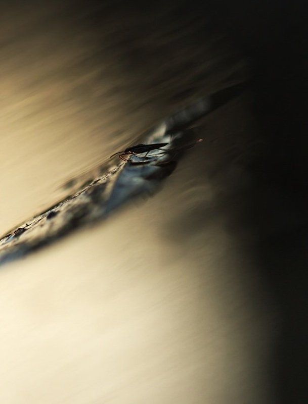 На границеphoto preview