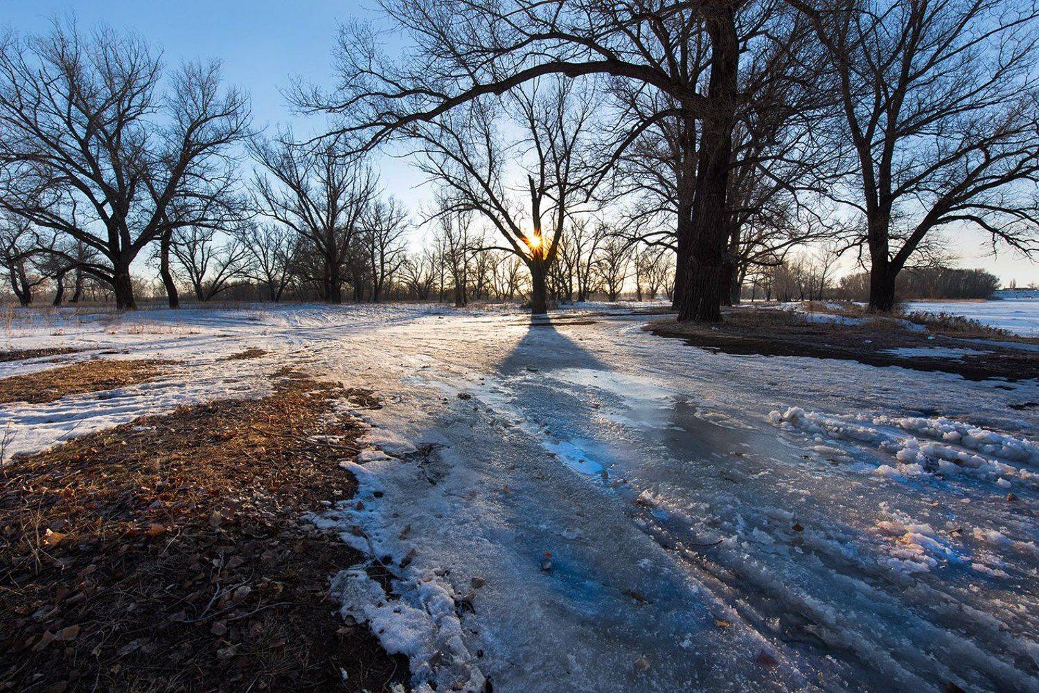 , Орлов Михаил