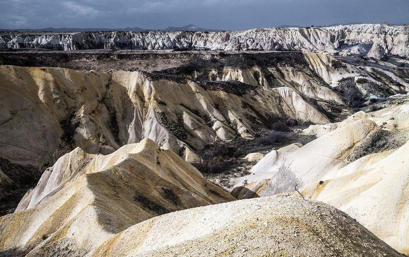 В плену желтых горphoto preview