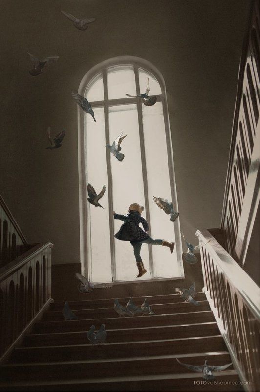 Дети и голуби, Детская фотография, Детский портрет Мелодия полетаphoto preview