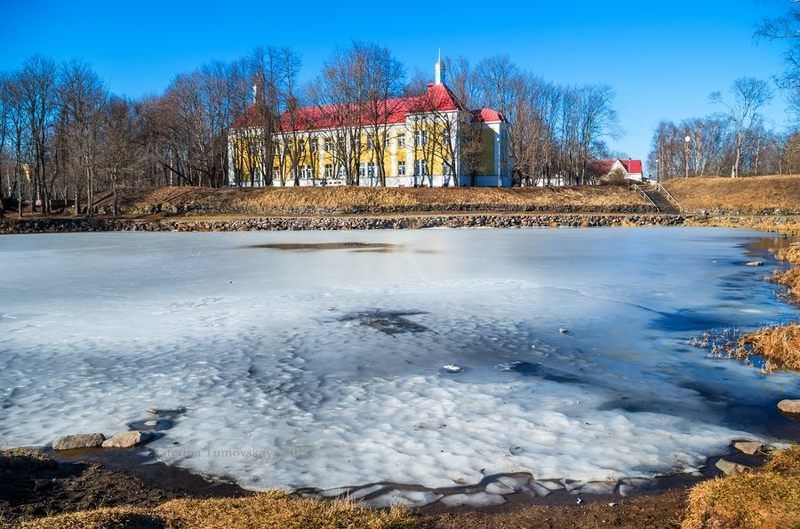 Корела весенняяphoto preview