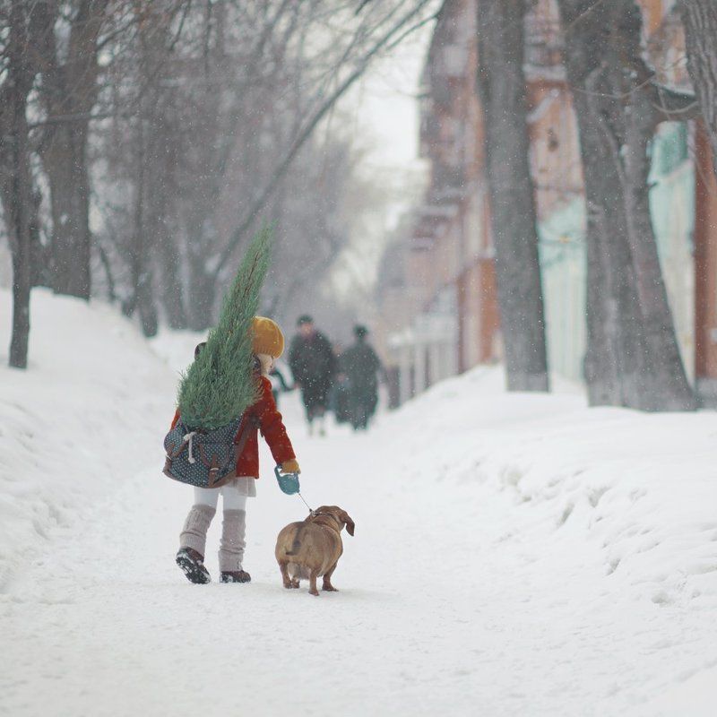 cypressphoto preview