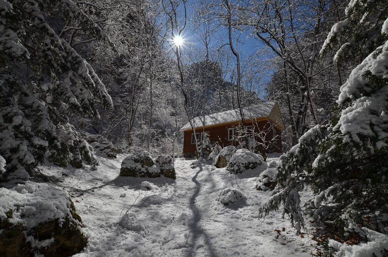 Зимняя сказка фото превью