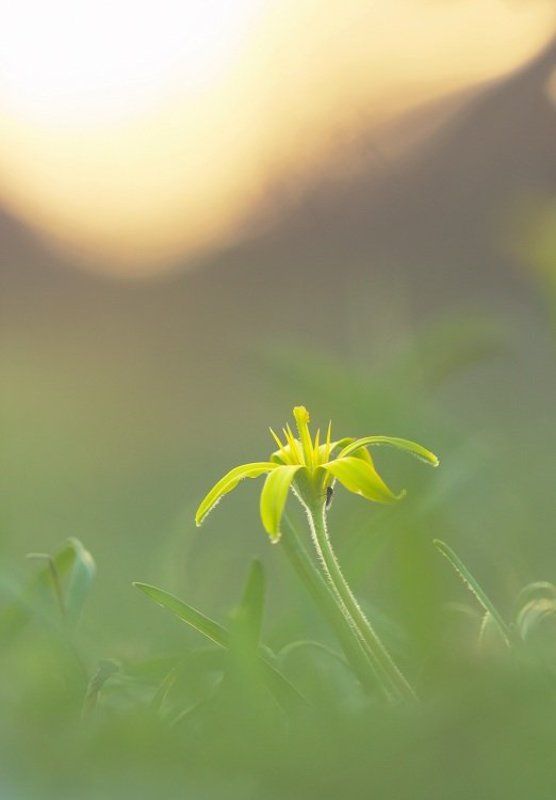 Первый лукphoto preview