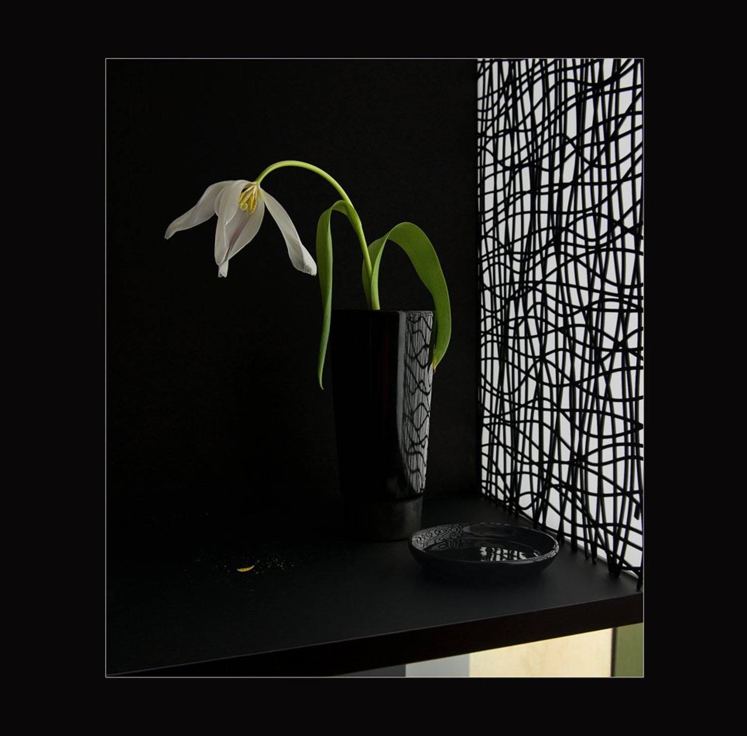 , Гелена Гленкова