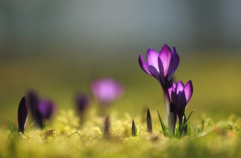 Oбнимаяphoto preview