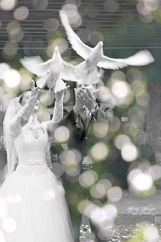 Свадебное фотоphoto preview