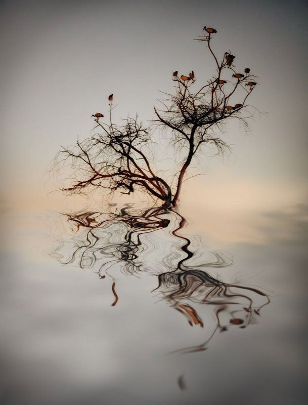 Скетчphoto preview