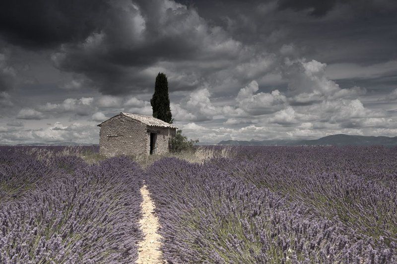 Landascape, Lavende, Lavender, Provence, Storm, Summer Summer Stormphoto preview