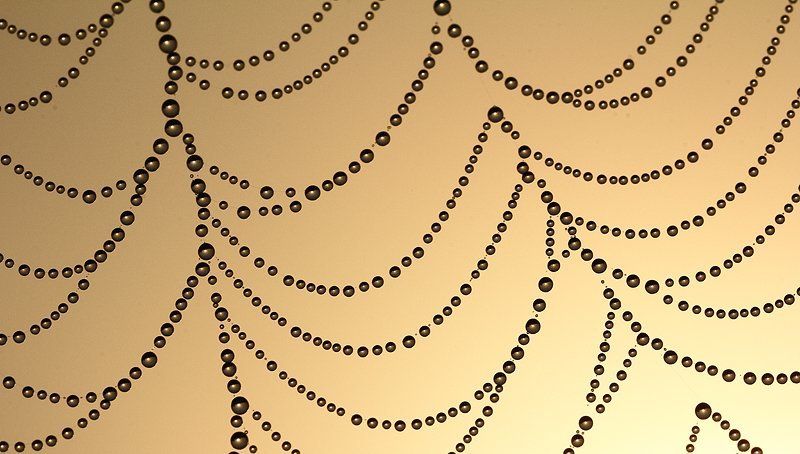 Абстракция, Капельки, Макро, Паутина, Природа, Рассвет, Роса Жемчужное ожерельеphoto preview