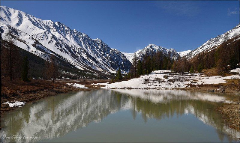 Горный алтай Весна в долине Актруphoto preview